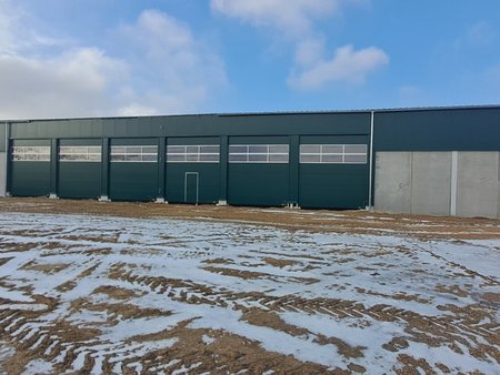 King of Korn, Reinschedl - Petronell